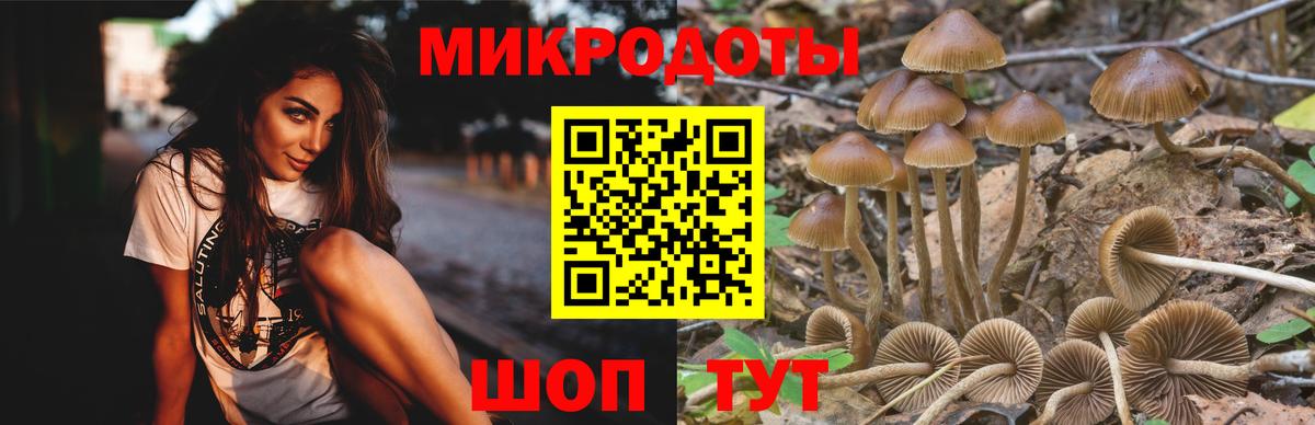 Отрадное  Псилоцибиновые грибы прущие грибы  Вход с VPN 